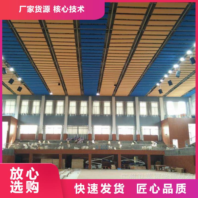 大型体育馆声学改造方案--2024最近方案/价格同城品牌