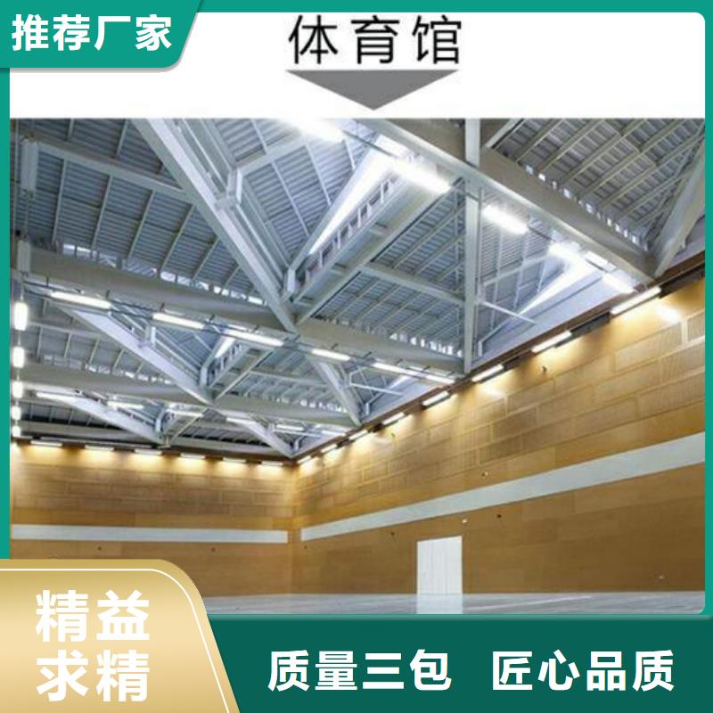 广东省珠海市南水镇大型体育馆声学改造方案--2024最近方案/价格实力大厂家