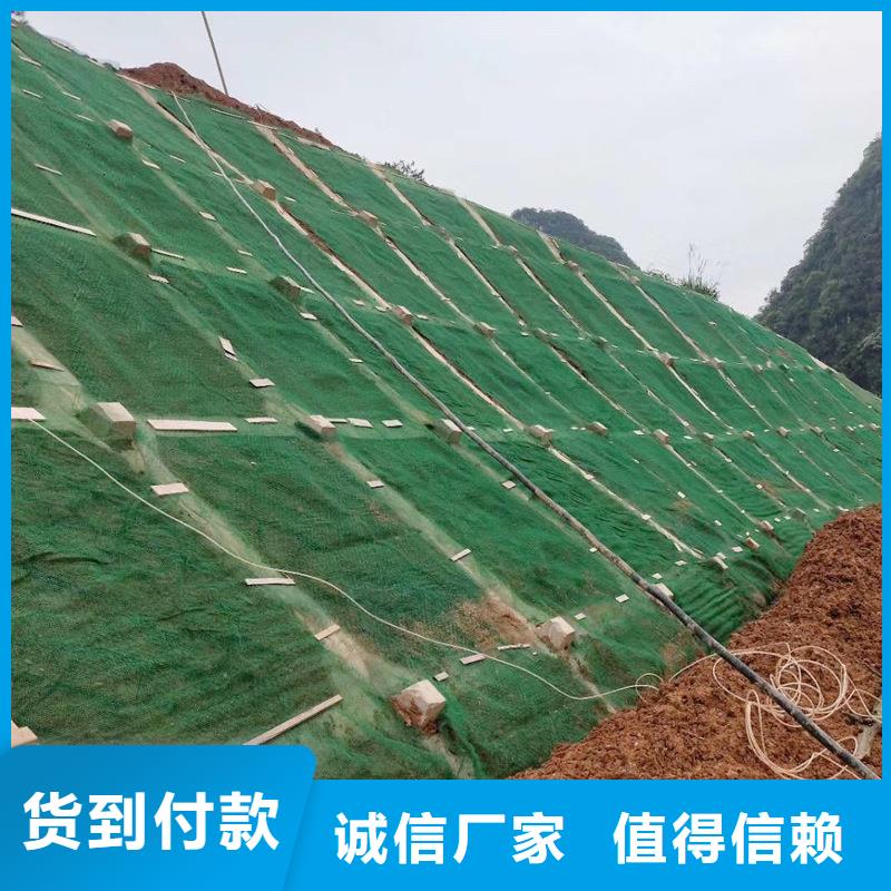 三维植被网-【聚乙烯醇纤维厂家】闪电发货同城制造商