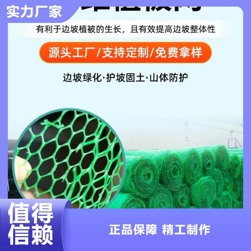 三维植被网止水铜片工厂采购源头工厂
