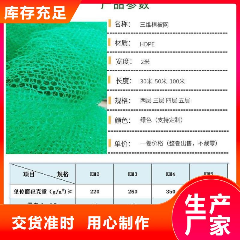 2025##三维植被网规格参数厂家##有限公司价格低