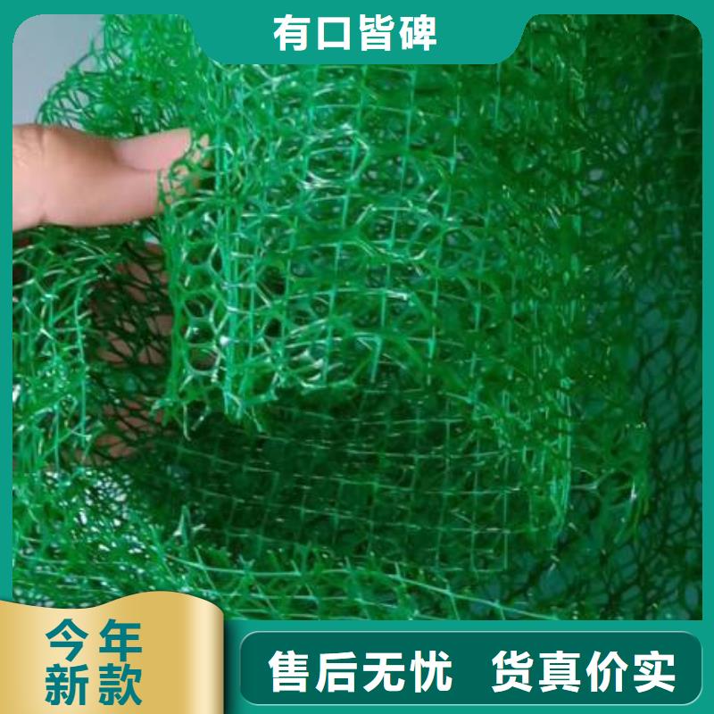 三维植被网土工膜种类齐全同城供应商