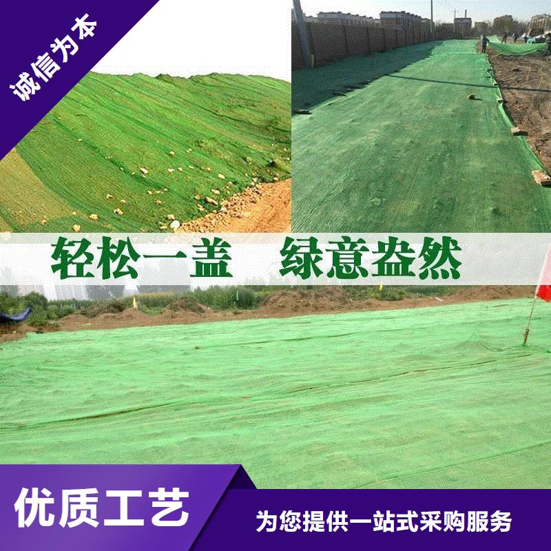 三维植被网_【渗水盲管】量大更优惠厂家十分靠谱