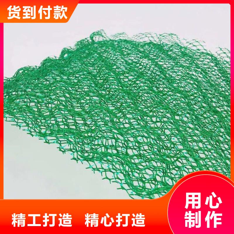 三维植被网_pp杜拉纤维资质认证当地货源