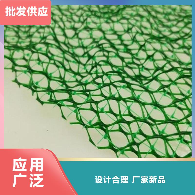 三维植被网【铜片止水】用心细节好厂家有担当