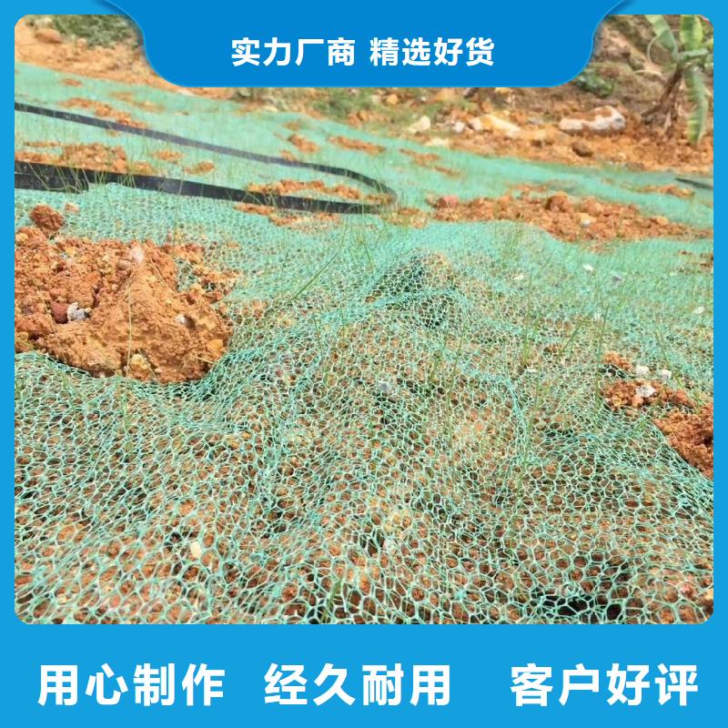 三维植被网_【水平止水铜片】以质量求生存研发生产销售