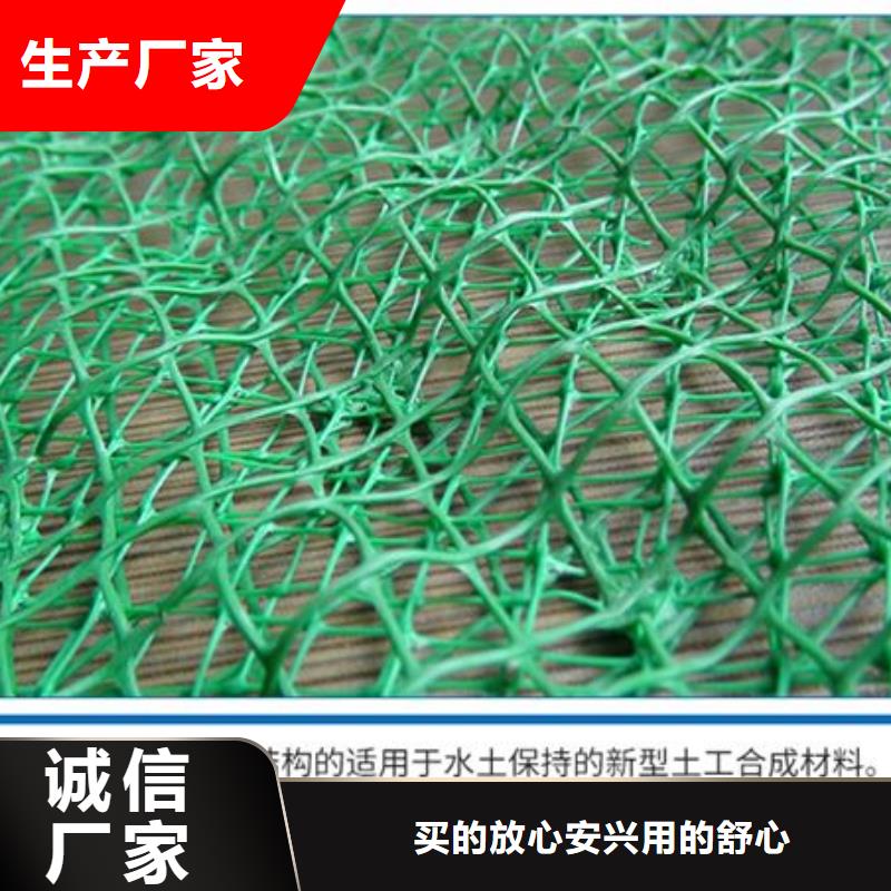 三维植被网-止水铜片厂家直发当地生产厂家