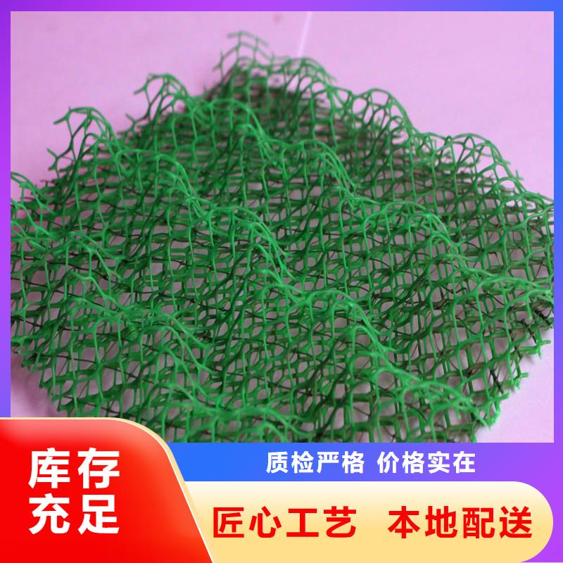 三维植被网聚丙烯纤维一站式供应厂家保障产品质量