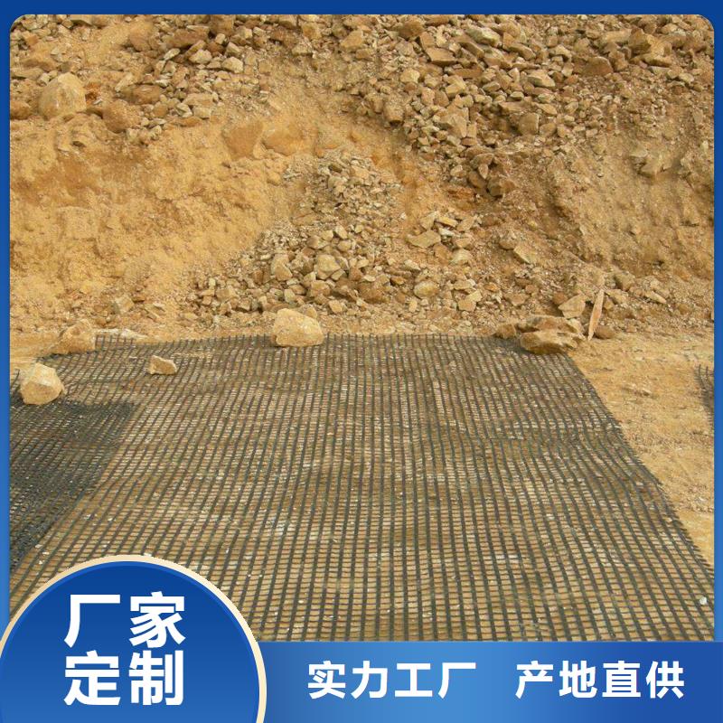 塑钢土工格栅厂家批发价厂家当地品牌
