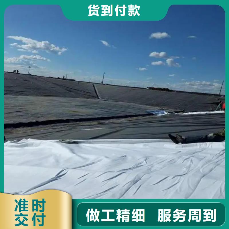 土工布聚丙烯单丝纤维支持大小批量采购一手货源源头厂家
