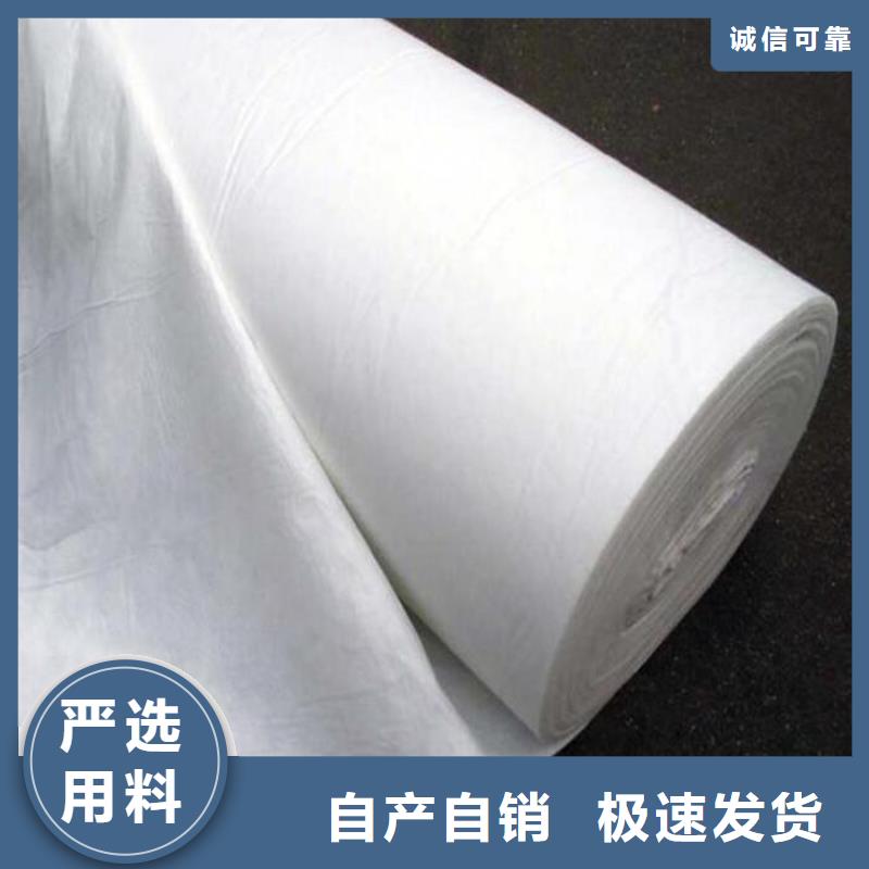 土工布聚乙烯醇纤维厂家专业生产团队您想要的我们都有