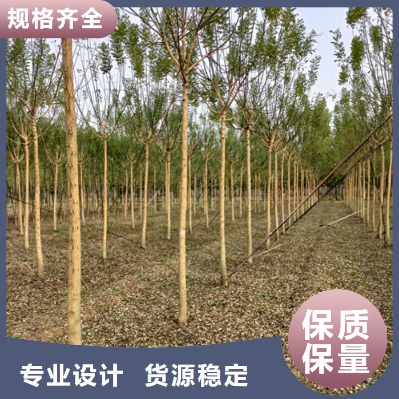 【法桐截杆发帽符合标准】满足多种行业需求