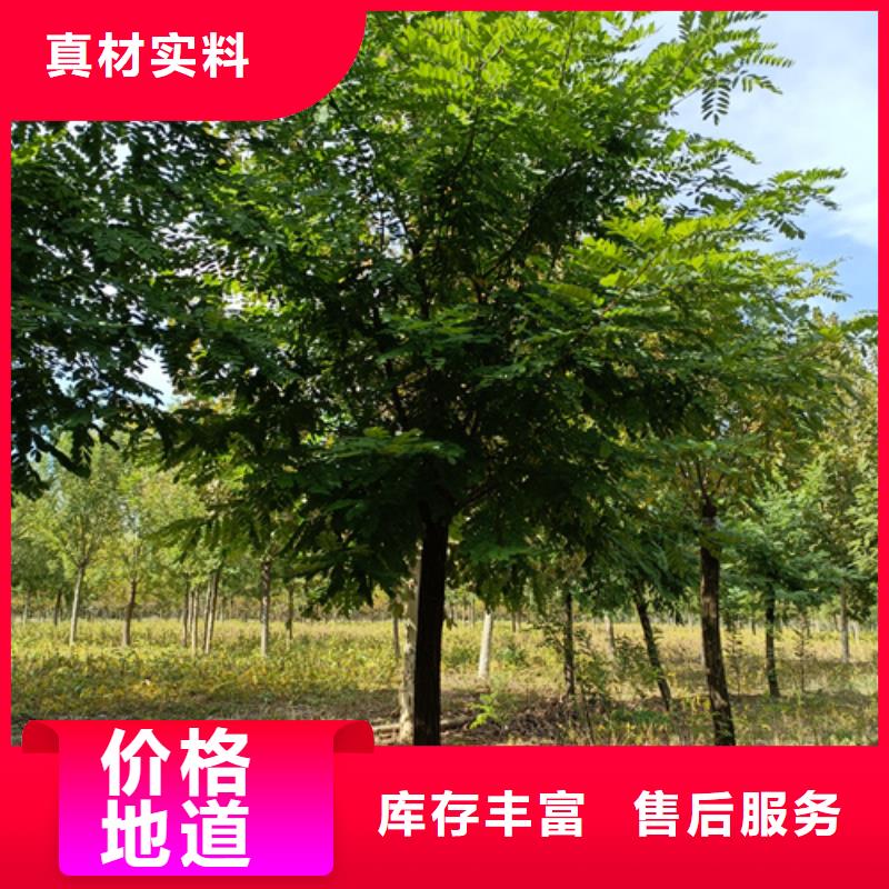 法桐欢迎来电询价打造好品质
