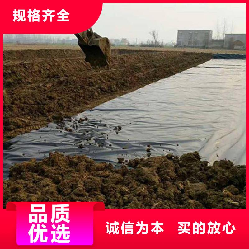 土工膜,通风降噪丝网工艺成熟用心制造