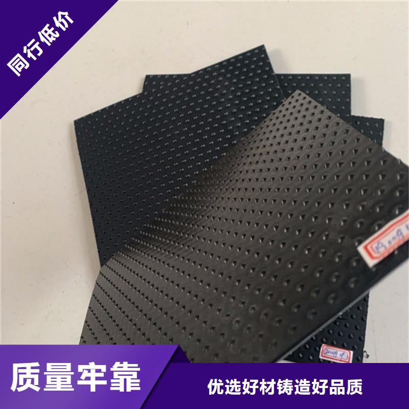 土工膜双向塑料土工格栅可定制拥有多家成功案例
