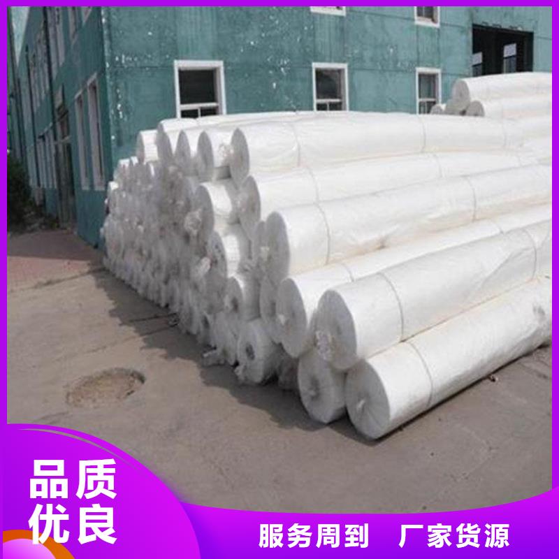 【土工布】三维植被网丰富的行业经验当地供应商