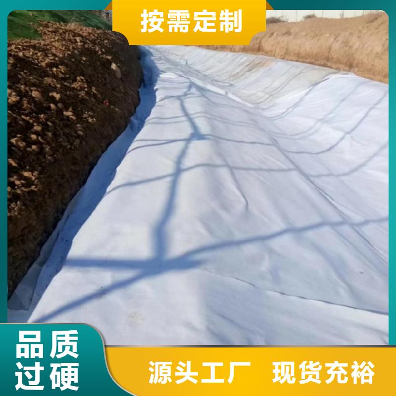 【土工布】土工膜高品质诚信厂家同城公司