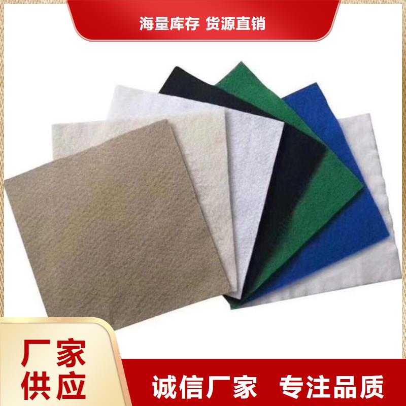 土工布塑料土工格栅厂家直销直供优良材质