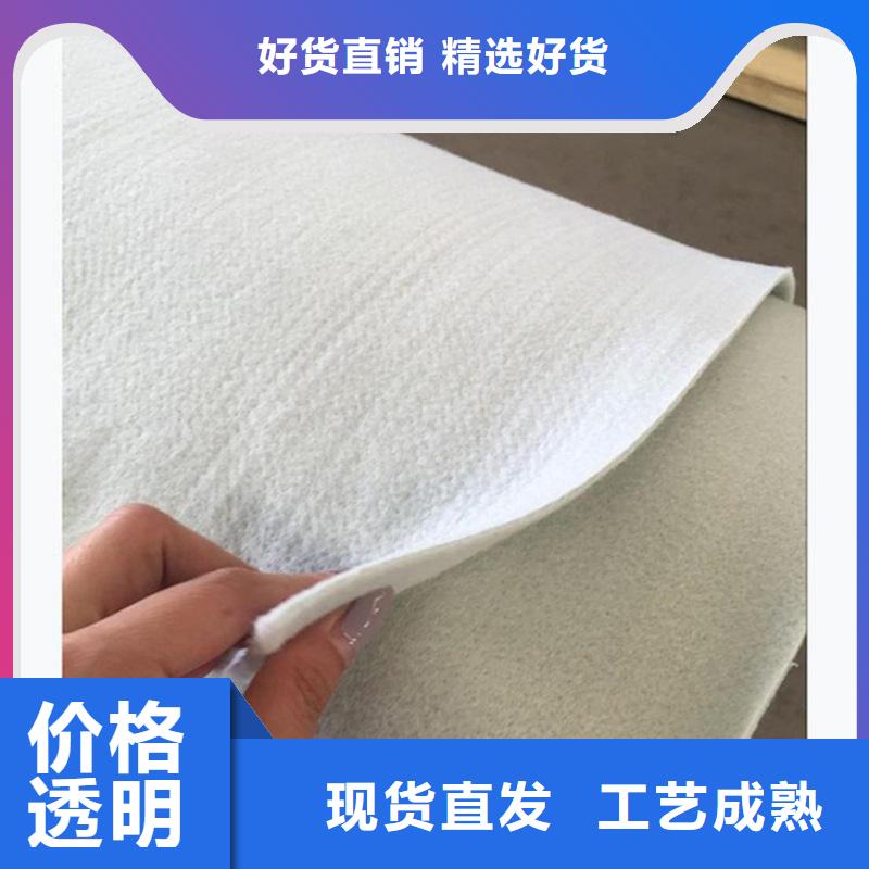 土工布玻纤格栅卓越品质保障同城供应商