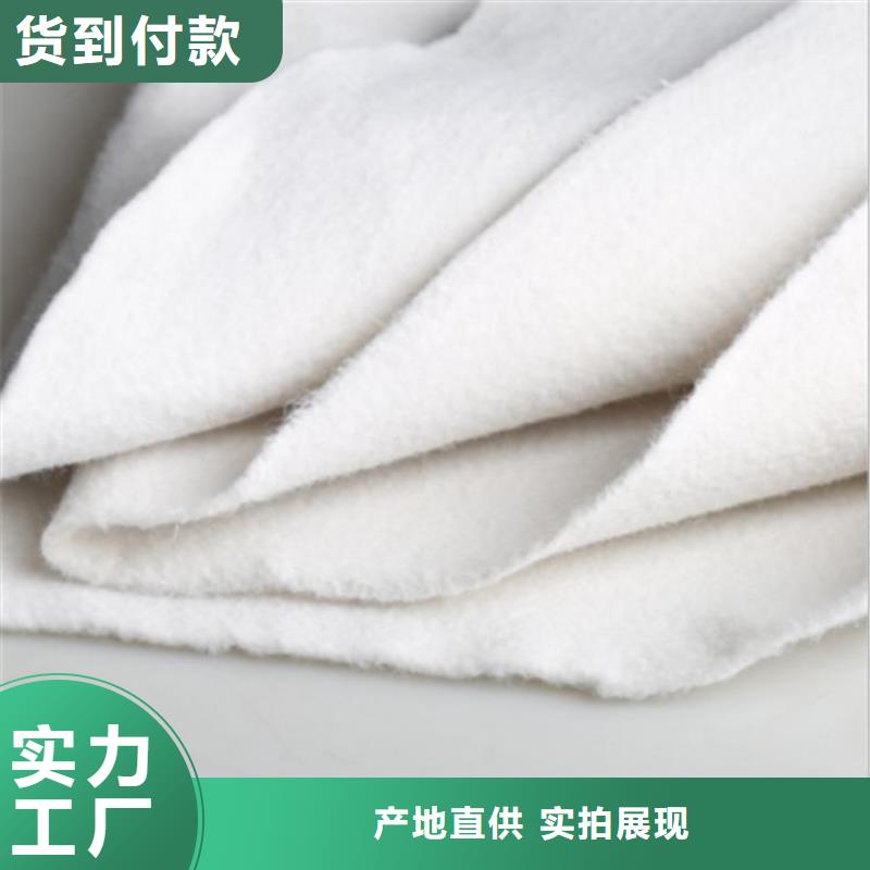 土工布,塑料格栅买的放心本地品牌