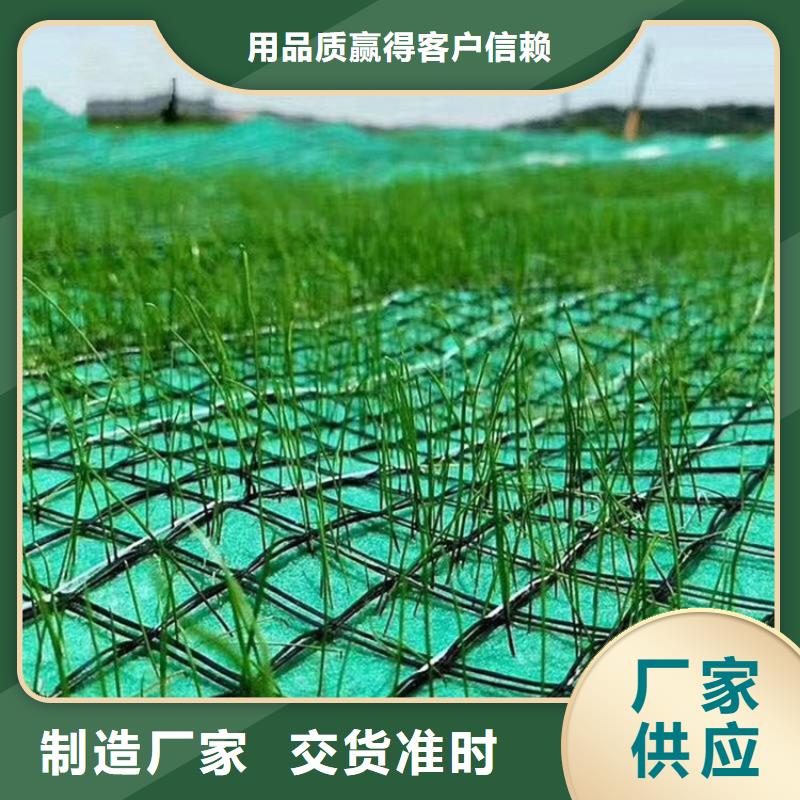 椰丝毯土工膜层层质检本地品牌