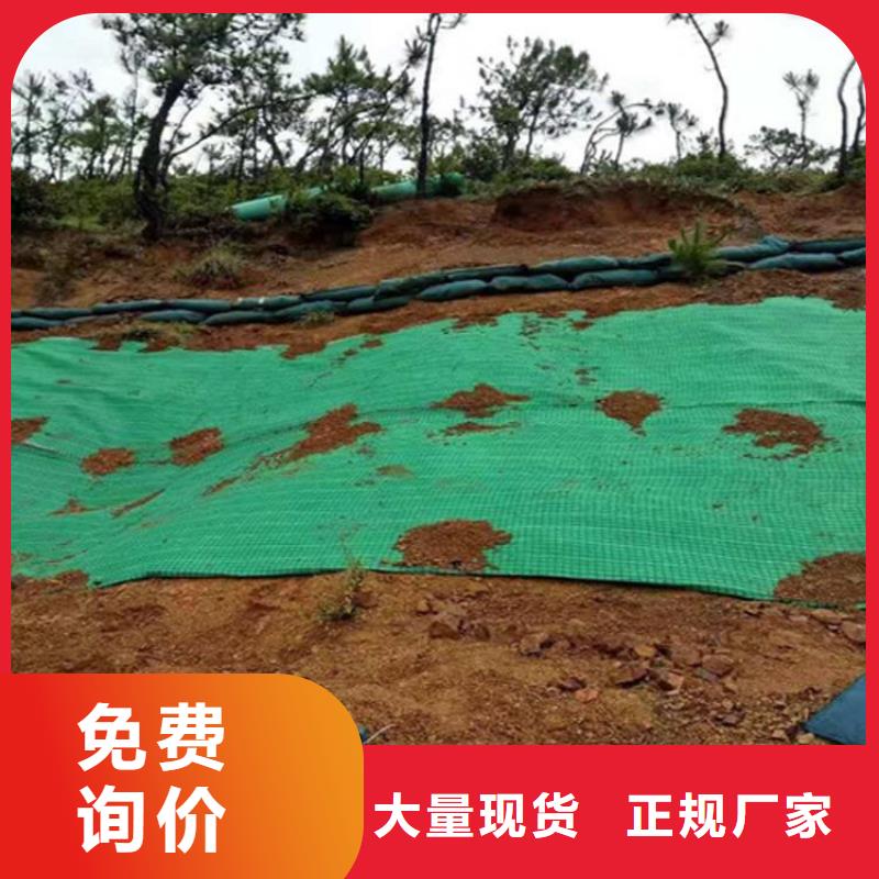 【椰丝毯土工布精工打造】一站式服务