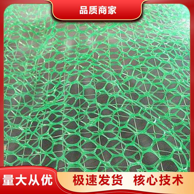 【三维植被网HDPE土工膜免费获取报价】当地品牌