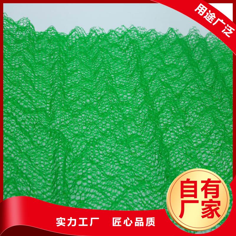 三维植被网玻璃纤维土工格栅一手货源同城生产商