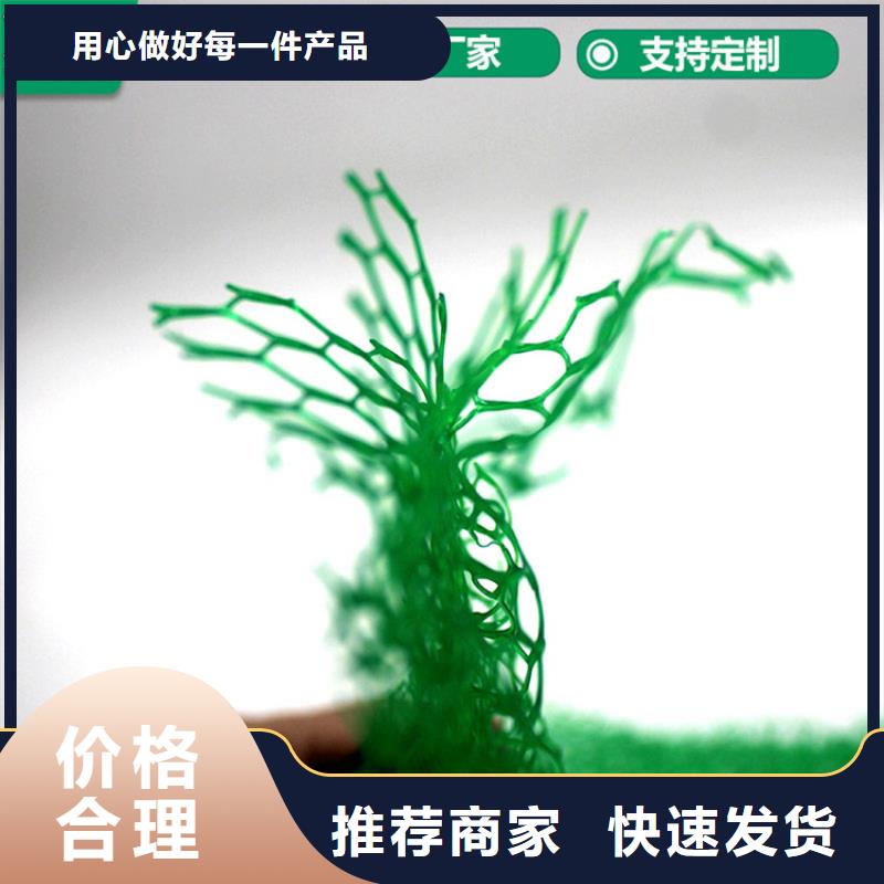 三维植被网【复合膜】可接急单制造厂家