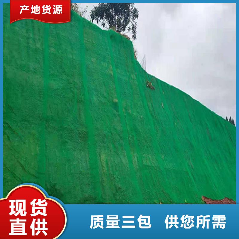 三维植被网-防渗膜自有生产工厂欢迎来厂考察