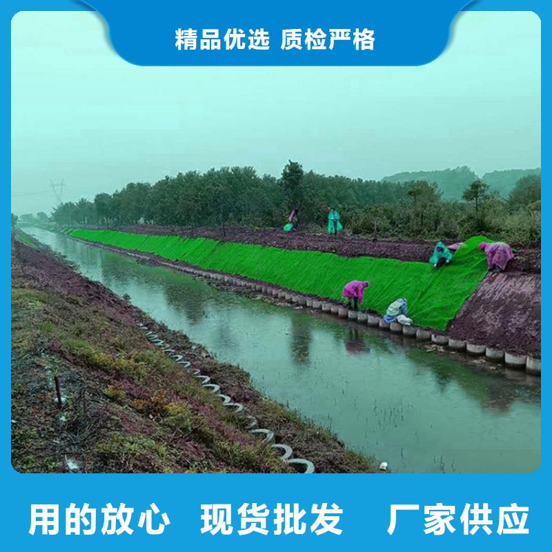 三维植被网安心购当地生产厂家