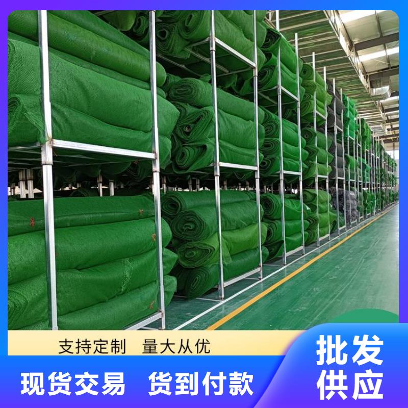 三维植被网土工膜全新升级品质保障质量可靠