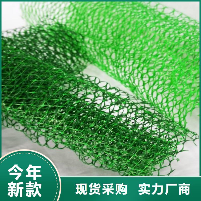 三维植被网-土工布质量好支持定制贴心售后