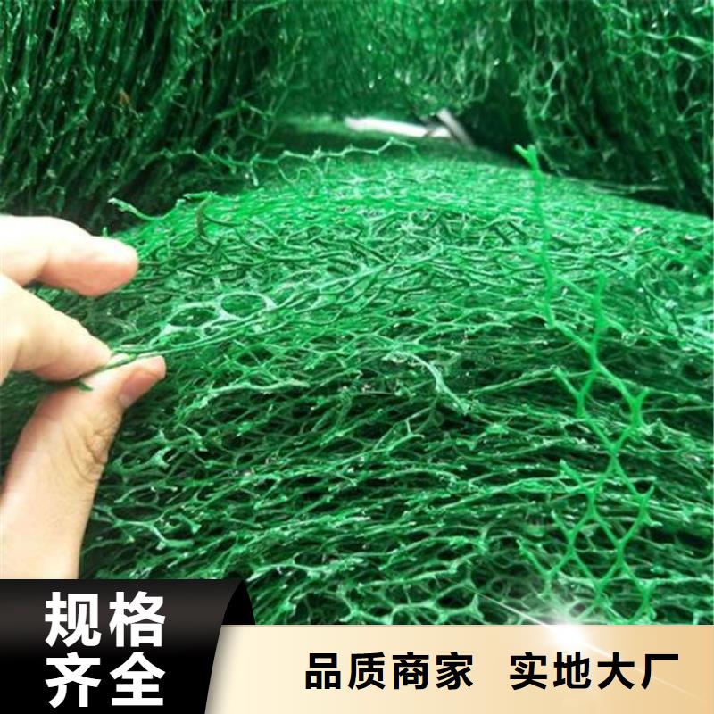 三维植被网,防渗膜购买的是放心用心做产品