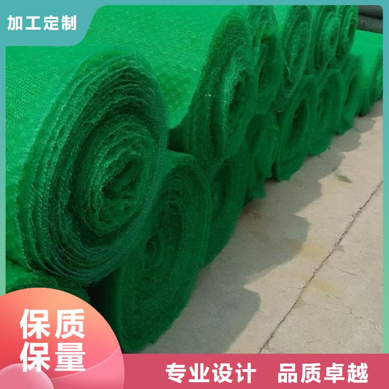 三维植被网经验丰富质量放心厂家直发