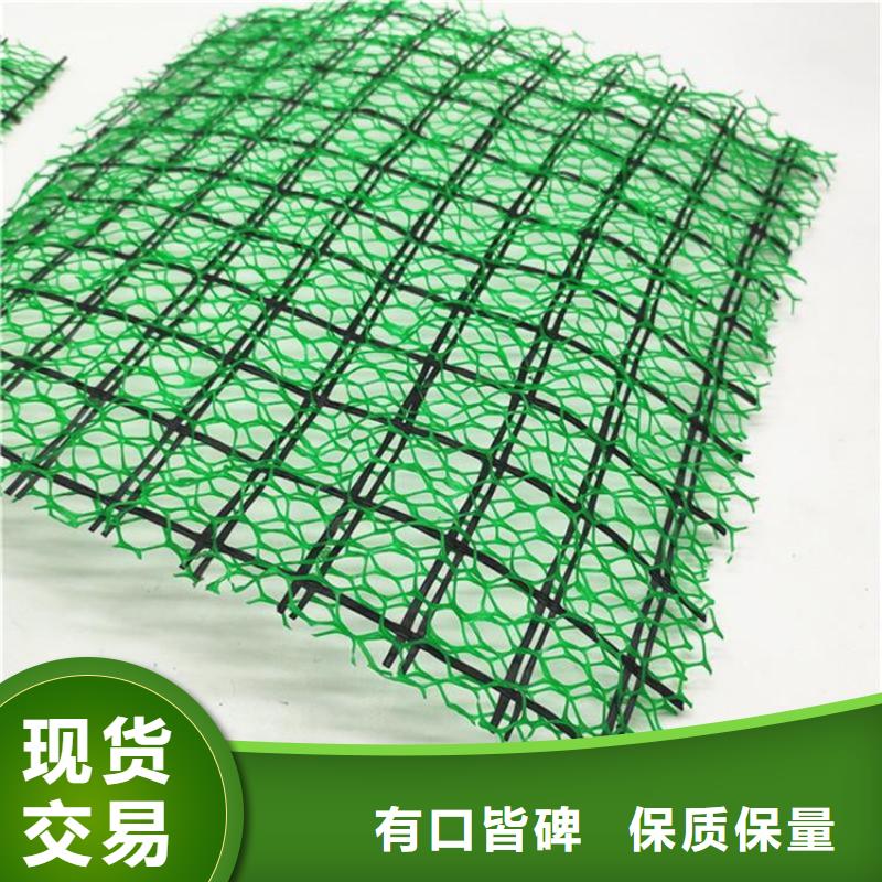 三维植被网-塑料盲沟好产品放心购品质优良