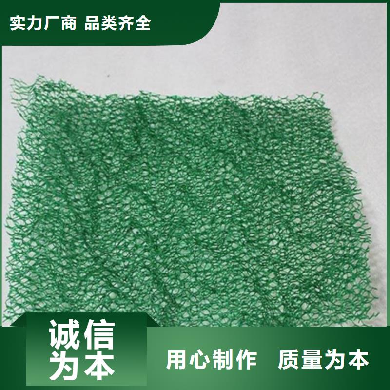 三维植被网-土工膜源头厂家同城供应商