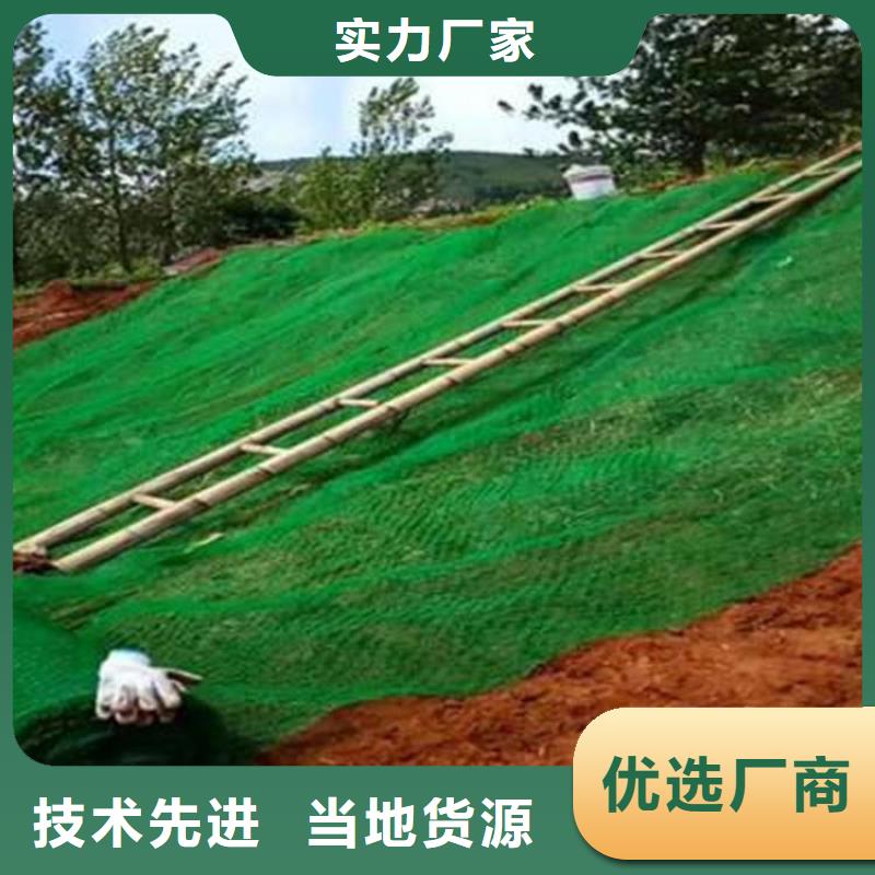 【三维植被网,土工膜质量优价格低】就近发货
