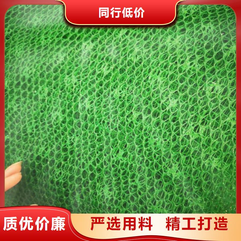 三维植被网,双向土工格栅专业厂家专业生产制造厂