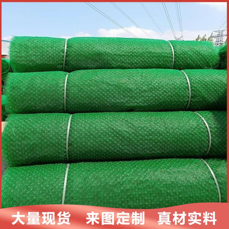 【三维植被网_抗裂贴让客户买的放心】当地经销商