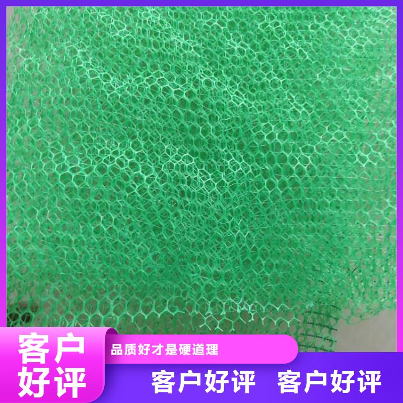 三维植被网【HDPE土工膜】批发货源同城厂家