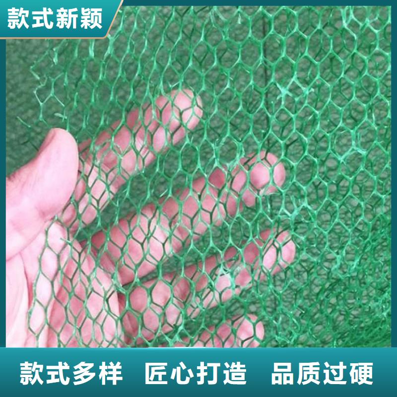 三维植被网一手价格厂家直销规格多样