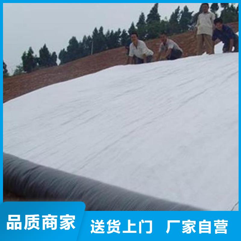 膨润土防水毯双向塑料土工格栅专注生产N年本地公司