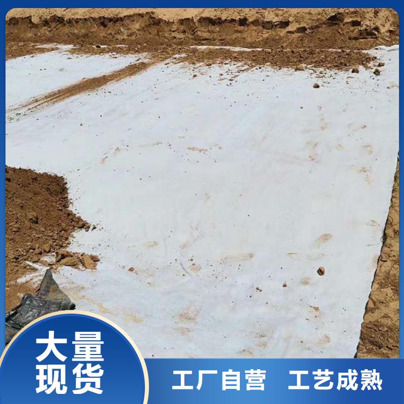 膨润土防水毯【软式透水管】源头厂家供应当地货源