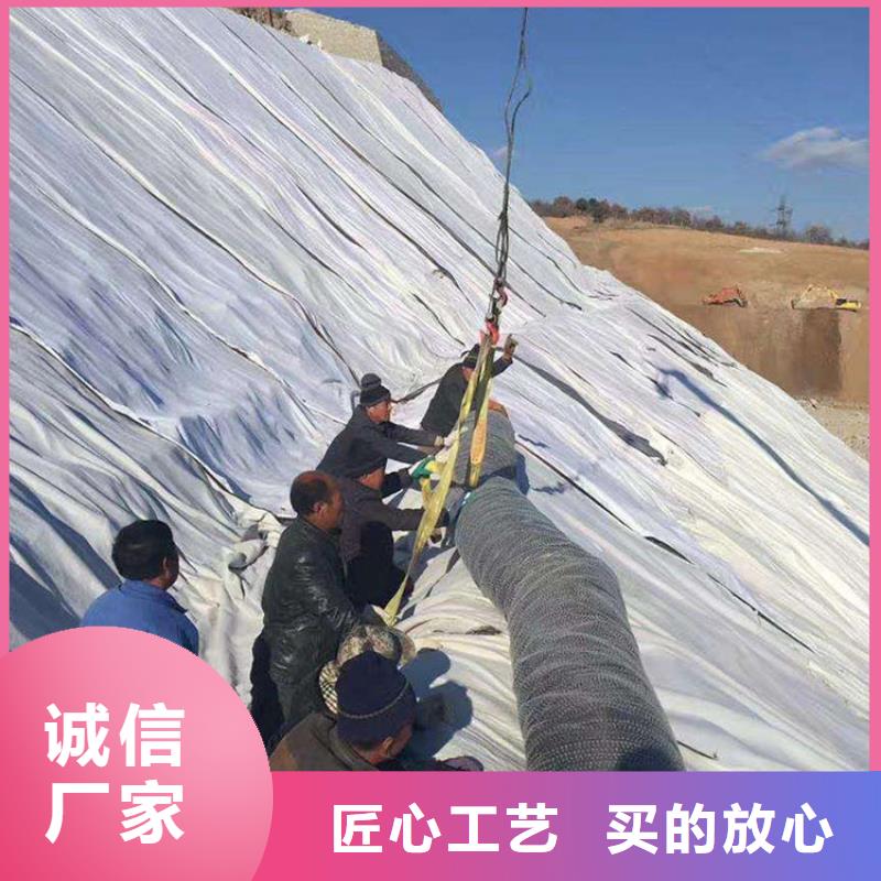 膨润土防水毯植草格大厂家实力看得见本地生产商