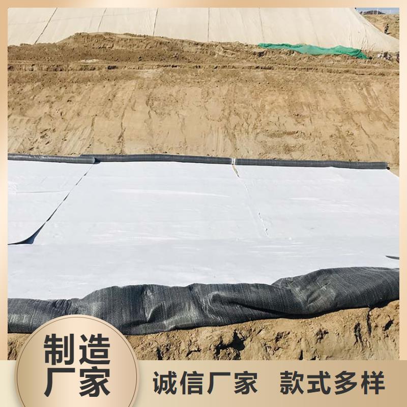 膨润土防水毯【双向土工格栅】实力大厂家同城品牌