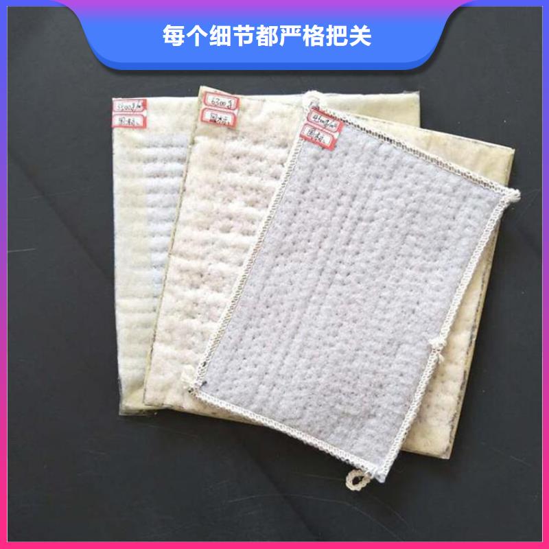 膨润土防水毯土工膜随到随提当地经销商