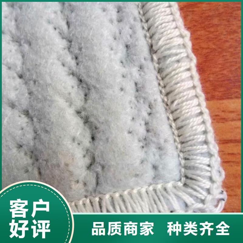 【膨润土防水毯编织布好货有保障】种类多质量好