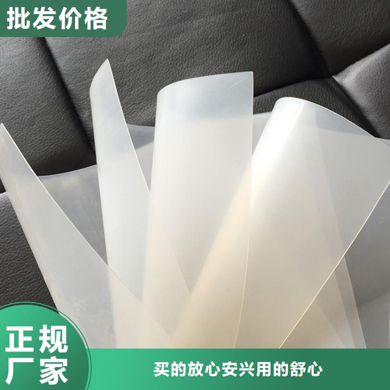 防水板玻璃纤维土工格栅好货有保障定制零售批发