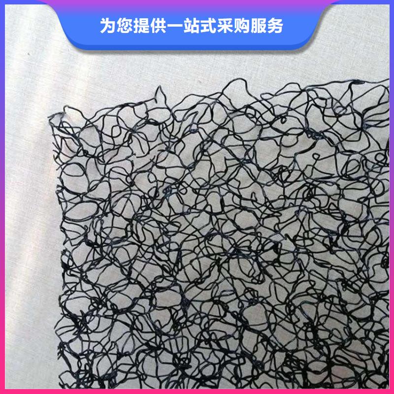 水土保护毯_【土工膜】实力公司N年大品牌